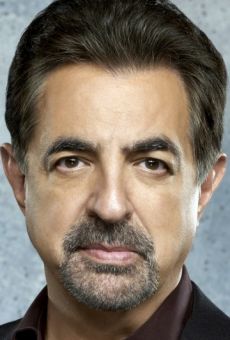 Джо Мантенья