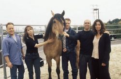 Фото №2 Лорна Кук