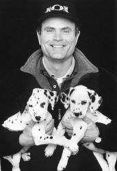 Фото №1 Стивен Херек