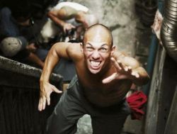 Фото №1 Жюльен Сери