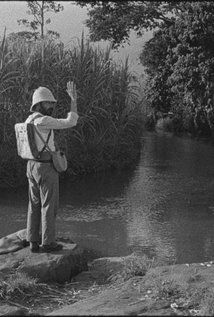 Тельмо Шурро