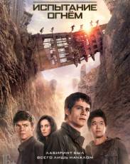 Бегущий в лабиринте 2: Испытание огнём (2015)