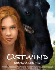 Восточный ветер 1 (2013)