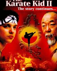 Парень-каратист 2 (1986)