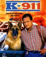 К-9 II / К-911  (1999)