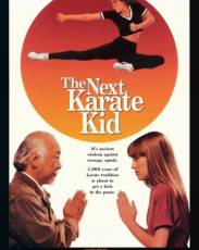 Парень-каратист 4 (1994)