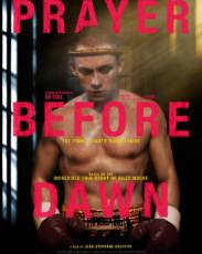 Бои без правил (2017)