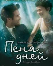 Пена дней (2013)