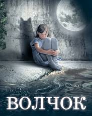 Волчок (2009)