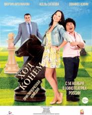 Ход конём (2013)
