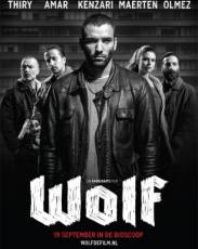Волк (2013)