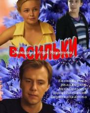 Васильки (2013)
