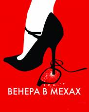 Венера в мехах (2013)