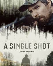 Единственный выстрел (2013)