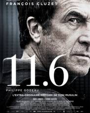 11.6 (2013)