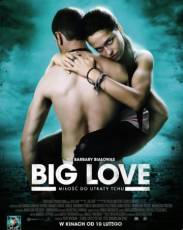 Большая любовь (2012)