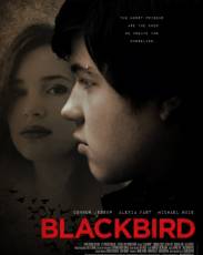 Чёрный дрозд (2012)