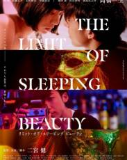 Предел спящей красавицы (2017)