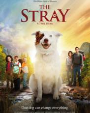 Бродяжка (2017)