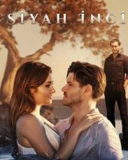 Черная жемчужина