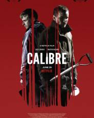 Калибр (2018)