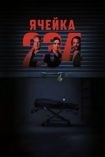 Ячейка 234 (2023)